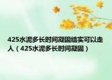 425水泥多长时间凝固结实可以走人（425水泥多长时间凝固）