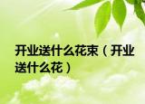 开业送什么花束（开业送什么花）