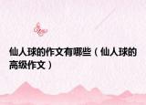 仙人球的作文有哪些（仙人球的高级作文）