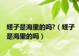 蛏子是海里的吗?（蛏子是海里的吗）