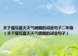 关于描写夏天天气晴朗的词语句子二年级（关于描写夏天天气晴朗的词语句子）