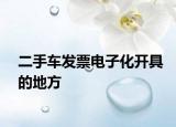 二手车发票电子化开具的地方