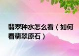 翡翠种水怎么看（如何看翡翠原石）