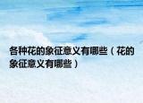 各种花的象征意义有哪些（花的象征意义有哪些）