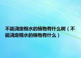 不能浇定根水的植物有什么树（不能浇定根水的植物有什么）