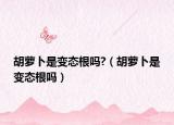胡萝卜是变态根吗?（胡萝卜是变态根吗）
