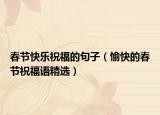 春节快乐祝福的句子（愉快的春节祝福语精选）