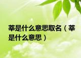 莘是什么意思取名（莘是什么意思）