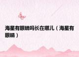 海星有眼睛吗长在哪儿（海星有眼睛）