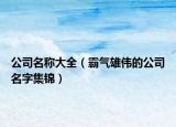 公司名称大全（霸气雄伟的公司名字集锦）