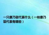 一只康乃馨代表什么（一枝康乃馨代表有哪些）