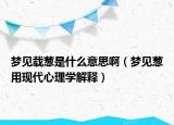 梦见载葱是什么意思啊（梦见葱用现代心理学解释）