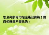 怎么判断骨肉相连熟没有熟（骨肉相连是不是熟的）