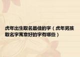 虎年出生取名最佳的字（虎年男孩取名字寓意好的字有哪些）