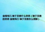 奋楫笃行,臻于至善什么意思（臻于至善的意思 奋楫笃行 臻于至善怎么理解）