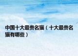 中国十大最贵名猫（十大最贵名猫有哪些）