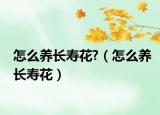 怎么养长寿花?（怎么养长寿花）