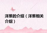 洋葱的介绍（洋葱相关介绍）