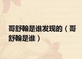 哥舒翰是谁发现的（哥舒翰是谁）