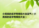 小男孩的名字有哪些大全霸气（小男孩的名字有哪些大全）