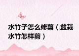 水竹子怎么修剪（盆栽水竹怎样剪）