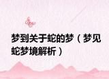 梦到关于蛇的梦（梦见蛇梦境解析）