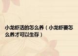 小龙虾活的怎么养（小龙虾要怎么养才可以生存）