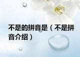 不是的拼音是（不是拼音介绍）