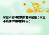 家里不能种核桃树的原因是（家里不能种核桃树的原因）