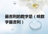 最吉利的数字是（啥数字最吉利）