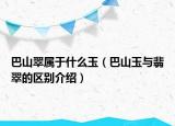 巴山翠属于什么玉（巴山玉与翡翠的区别介绍）