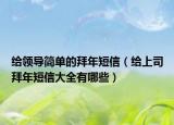 给领导简单的拜年短信（给上司拜年短信大全有哪些）