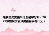 姓罗属虎男孩叫什么名字好听（2022罗姓属虎满分男孩名字有什么）