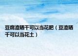 豆腐渣晒干可以当花肥（豆渣晒干可以当花土）