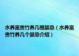 水养富贵竹养几根禁忌（水养富贵竹养几个禁忌介绍）