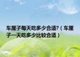 车厘子每天吃多少合适?（车厘子一天吃多少比较合适）