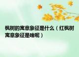 枫树的寓意象征是什么（红枫树寓意象征是啥呢）