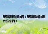 甲醇是燃料油吗（甲醇燃料油是什么东西）