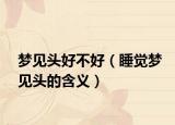 梦见头好不好（睡觉梦见头的含义）