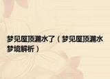 梦见屋顶漏水了（梦见屋顶漏水梦境解析）