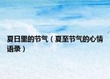 夏日里的节气（夏至节气的心情语录）