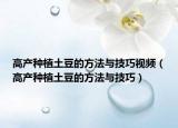 高产种植土豆的方法与技巧视频（高产种植土豆的方法与技巧）