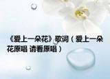 《爱上一朵花》歌词（爱上一朵花原唱 请看原唱）