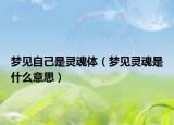 梦见自己是灵魂体（梦见灵魂是什么意思）