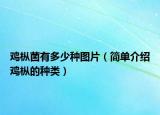 鸡枞菌有多少种图片（简单介绍鸡枞的种类）