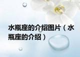 水瓶座的介绍图片（水瓶座的介绍）