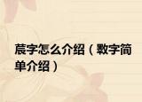 莀字怎么介绍（斁字简单介绍）