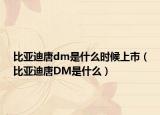 比亚迪唐dm是什么时候上市（比亚迪唐DM是什么）