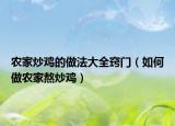 农家炒鸡的做法大全窍门（如何做农家熬炒鸡）