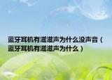 蓝牙耳机有滋滋声为什么没声音（蓝牙耳机有滋滋声为什么）
